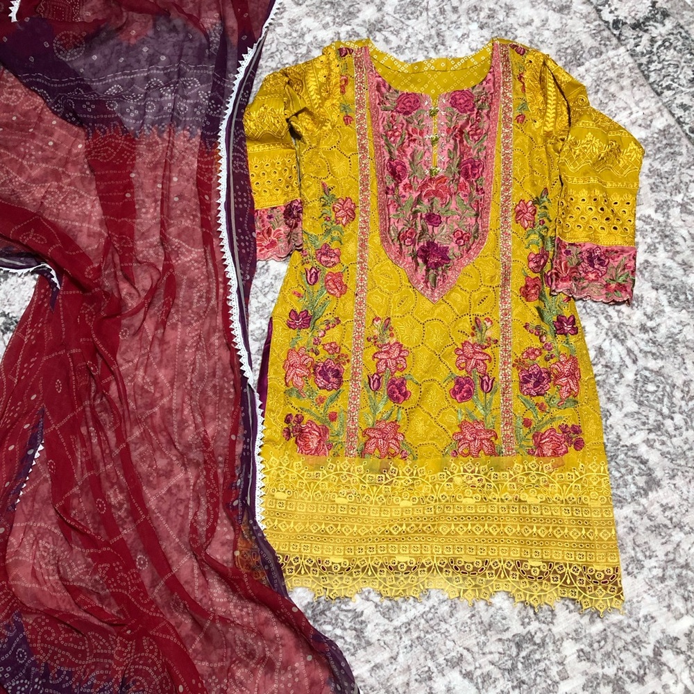 Pakistani Indian shalwar kameez Embroidered Dress Punjabi desi wear chikan Kari